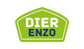 Dier Enzo Dier Enzo