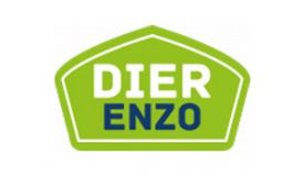 Dier Enzo